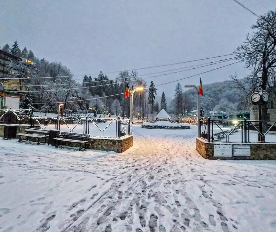 Vila Nicoleta Băile Olăneşti Exterior foto