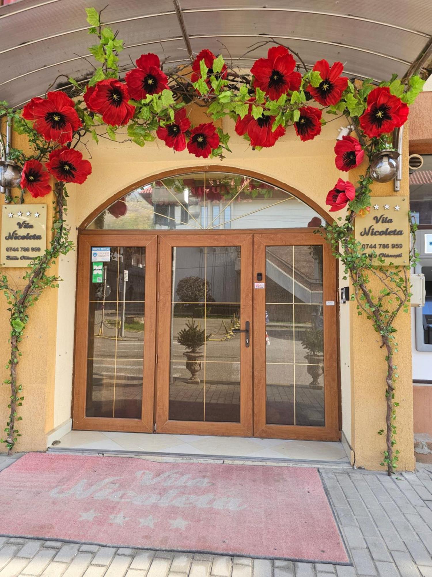 Vila Nicoleta Băile Olăneşti Exterior foto