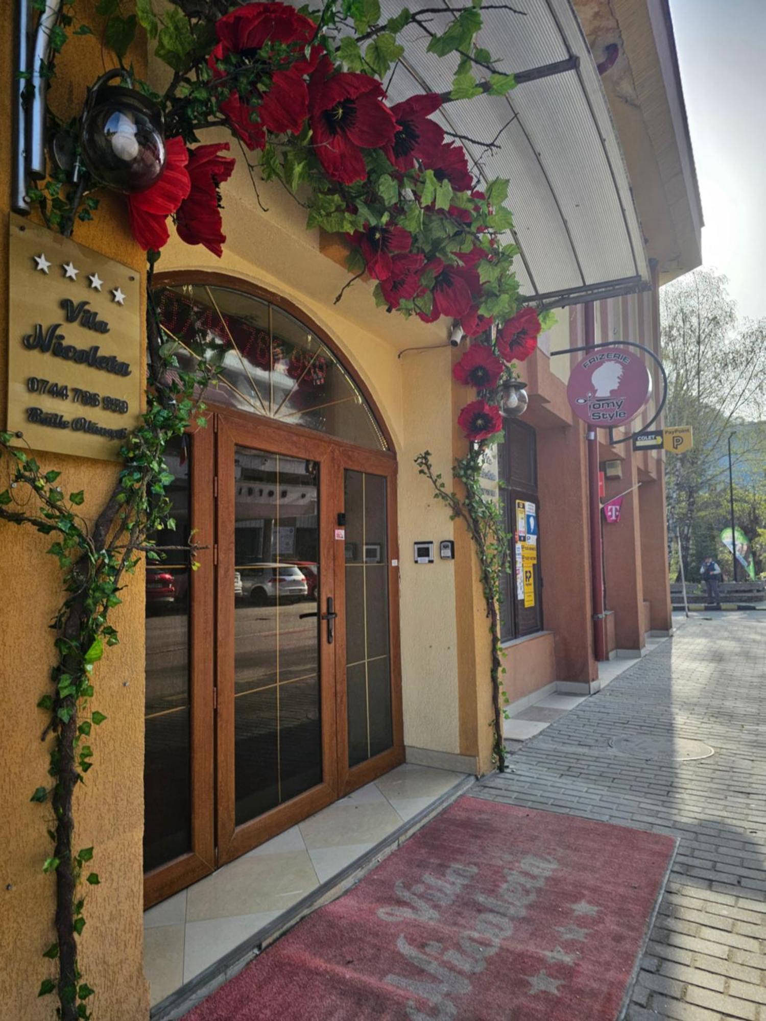 Vila Nicoleta Băile Olăneşti Exterior foto