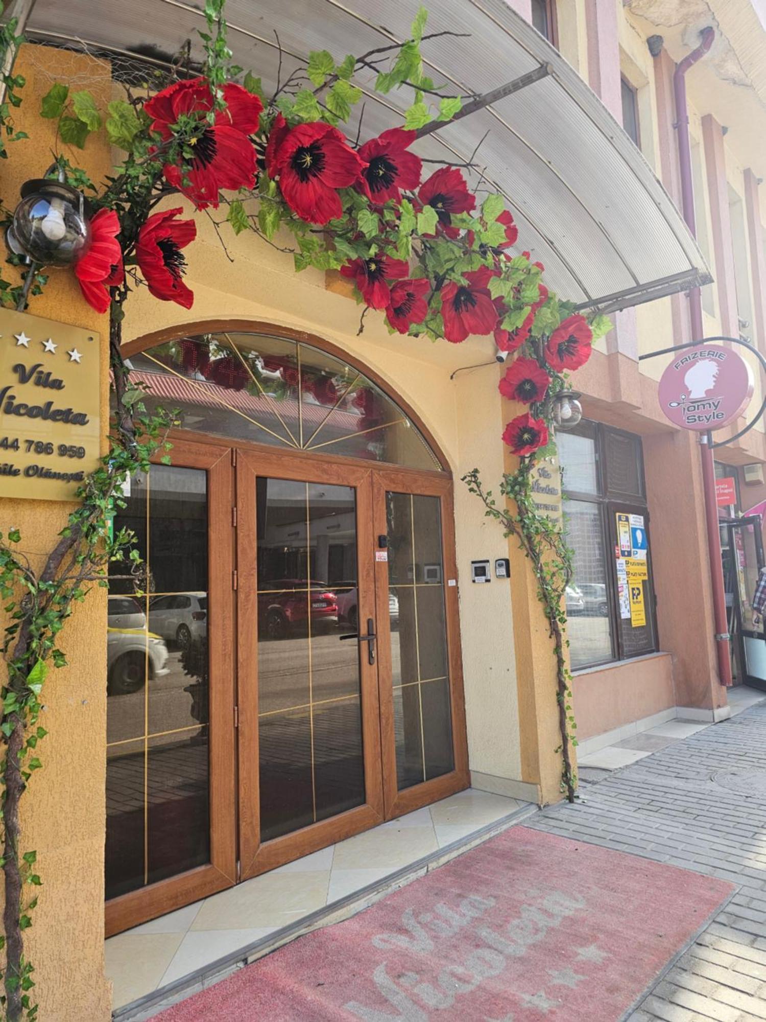 Vila Nicoleta Băile Olăneşti Exterior foto